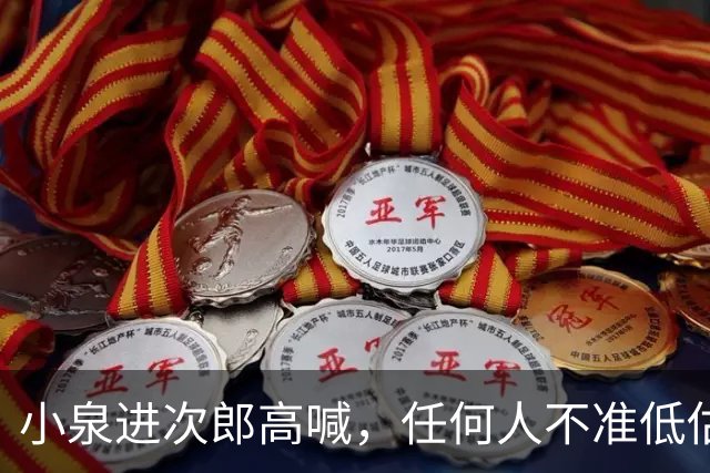 小泉进次郎高喊，任何人不准低估日本！但几大致命短板绕不开