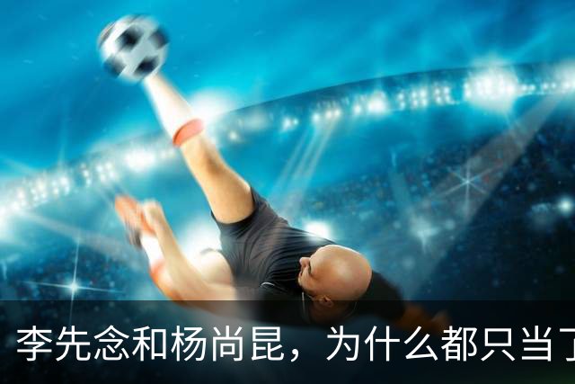 李先念和杨尚昆，为什么都只当了一届国家主席？