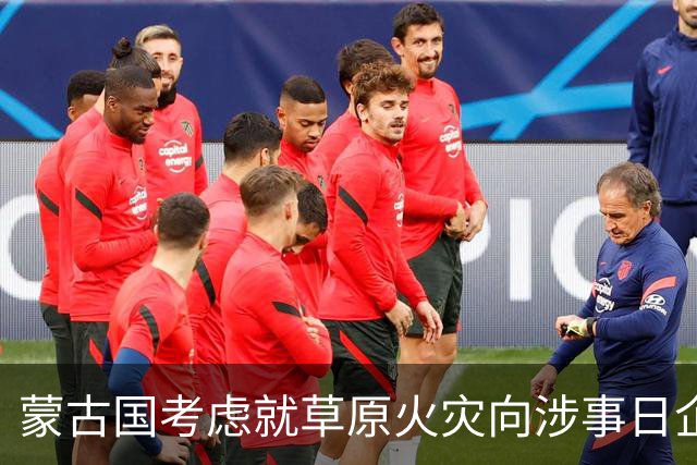 蒙古国考虑就草原火灾向涉事日企索赔