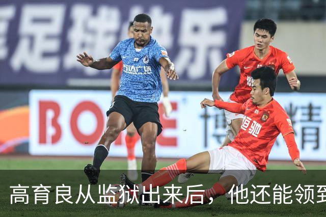 高育良从监狱出来后，他还能领到退休金吗？毕竟他属于视同缴费