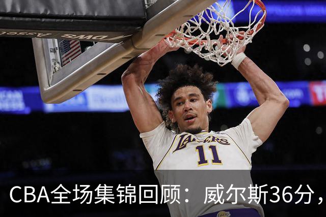CBA全场集锦回顾：威尔斯36分，广厦力克辽宁